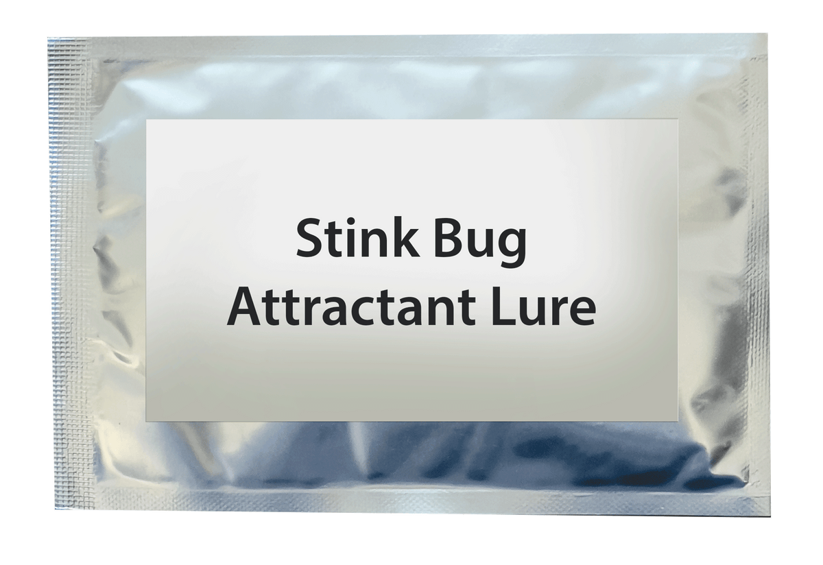 stink-bug-attractant-lure-replacement-naturesgoodguys