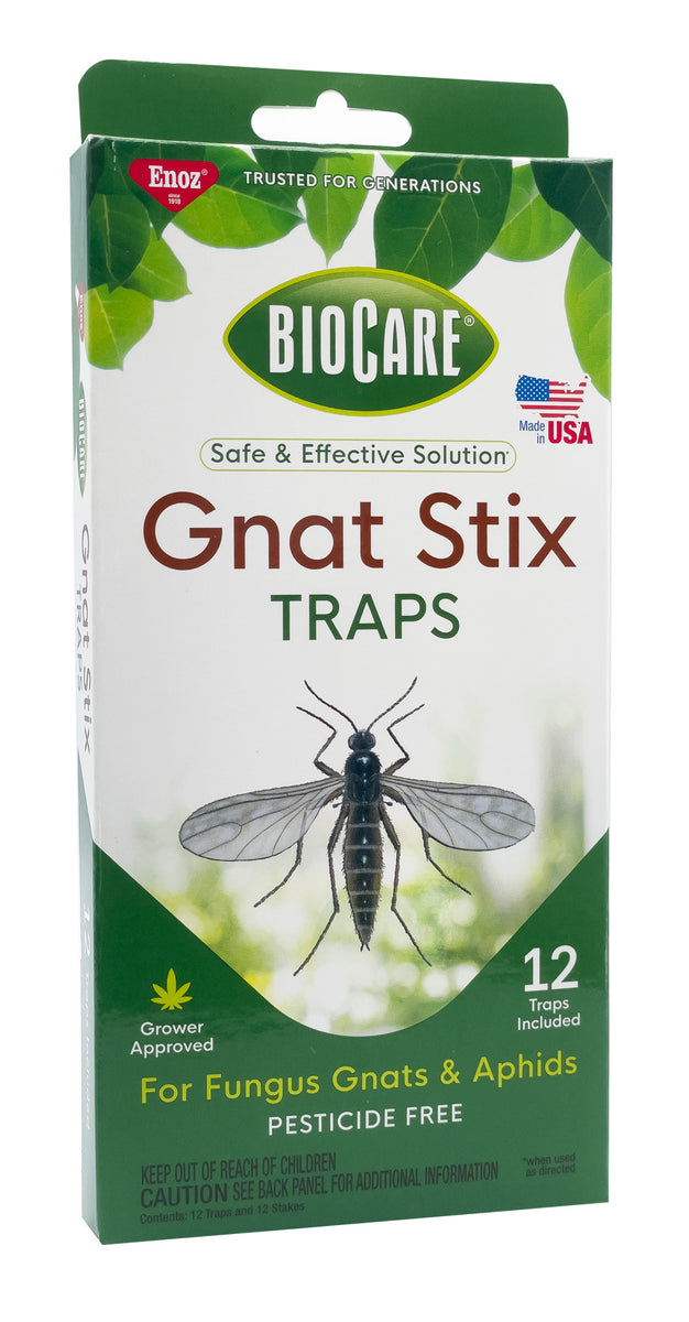 Enoz Gnat Styx (6 Pack) - BioCare Gnat Stix - Sticky Paper Trap - Pesticide  Free - Lasts up to 3 Months - Includes 72 Traps and Stakes