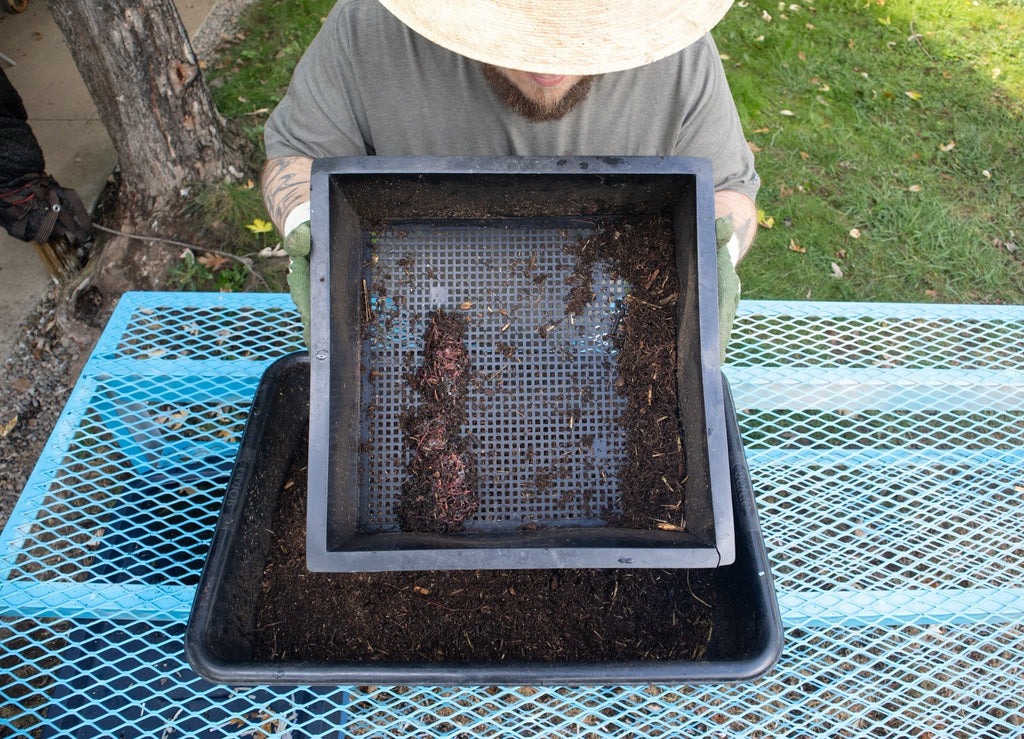 DIY Propagation Tray: Worm Farming, Seed Starting, & More