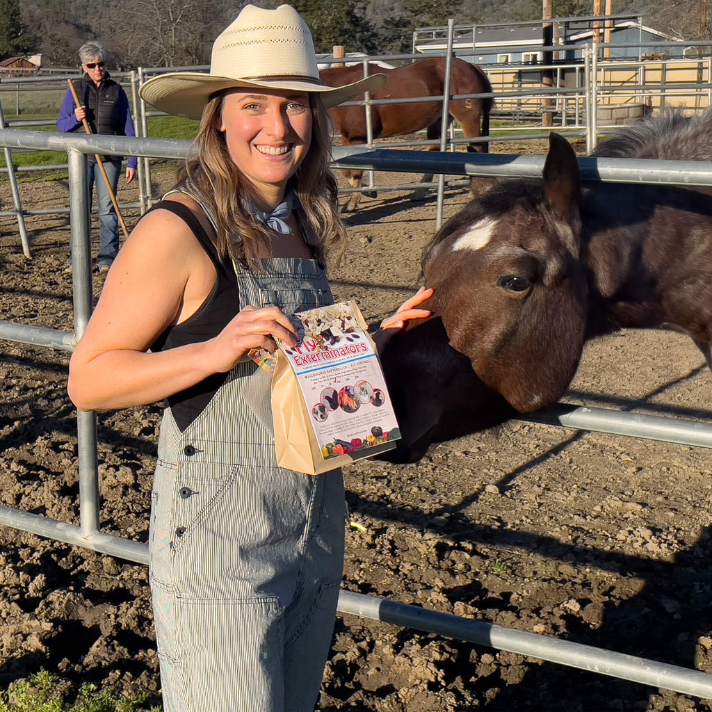 Natural Fly Control for Barns, Backyards, and Livestock: Safe & Effective Solutions