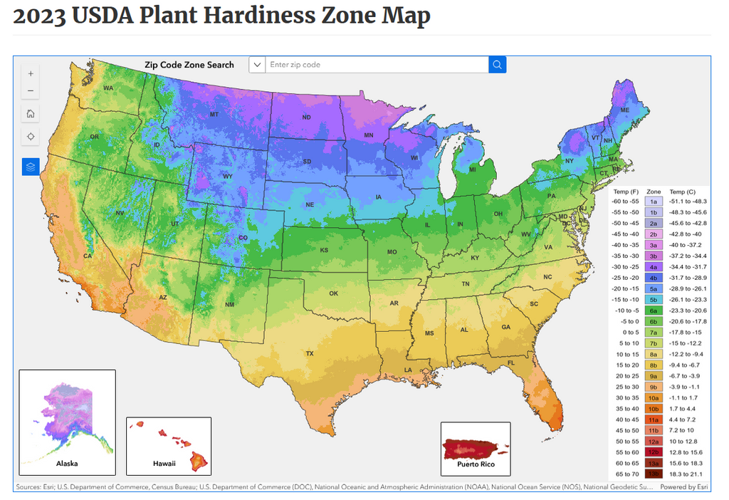 Understanding USDA Plant Hardiness Zones: A Beginner's Guide